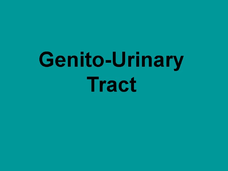 Genito-Urinary Tract